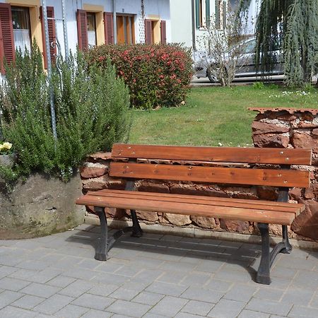 Ferienwohnungen Am Brunnen - Naehe Europapark, W-Lan, Klimaanlage Rheinhausen Exteriör bild